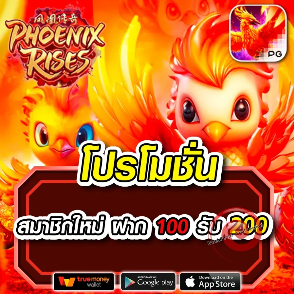 หวย alpha 98